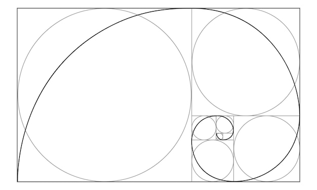 Vector golden ratio sign logarithmic spiral in rectangle with squares and circles fibonacci sequence