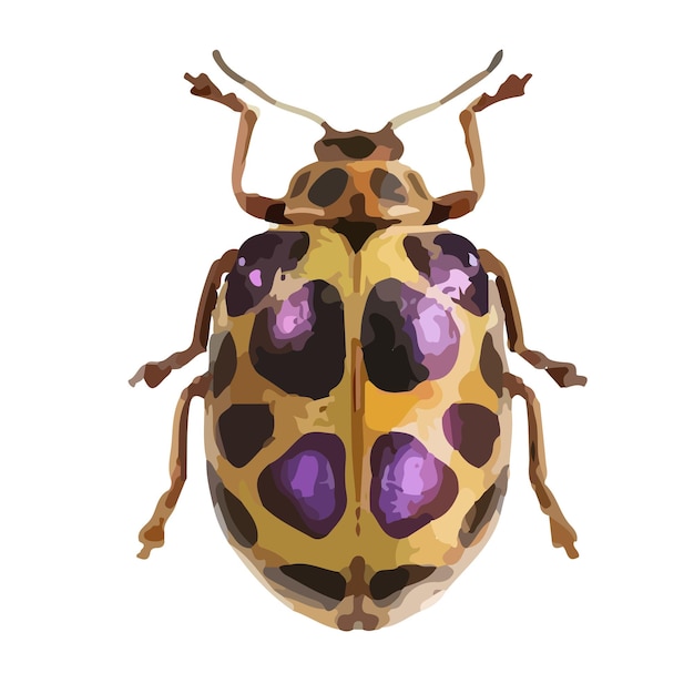 Vector graphical hand-drawn bugs. vector.