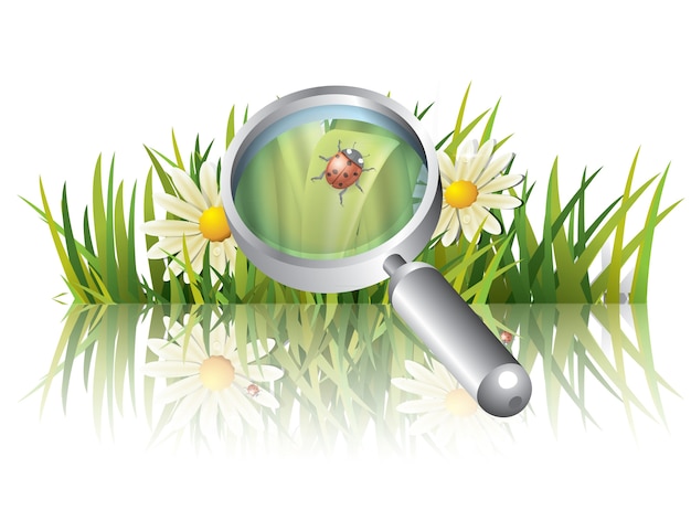 Vector green grass with ladybug