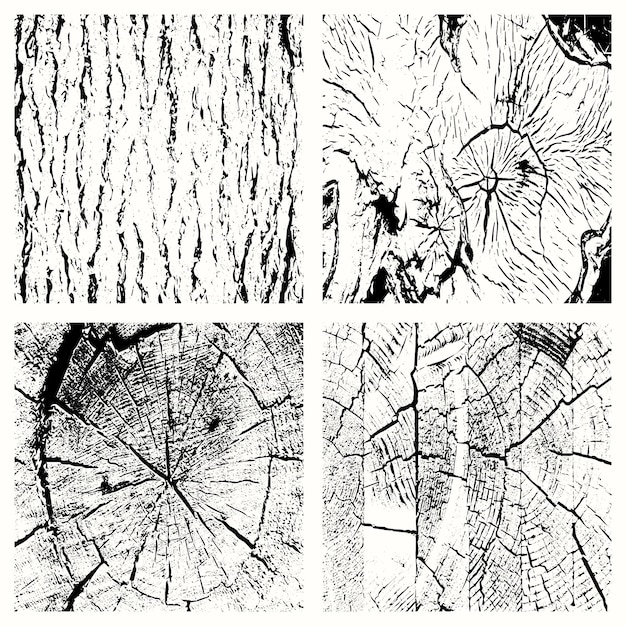 Vector grunge texture background collection