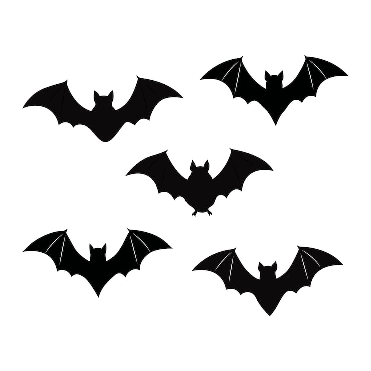 Vector halloween bat collection