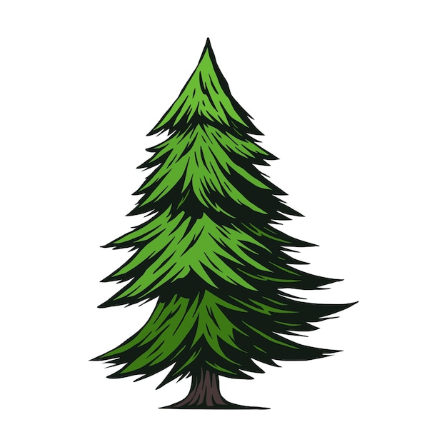 Vector hand drawing illustration vector pine tree forest