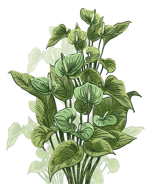 Vector hand drawn flora decorative vector illustration