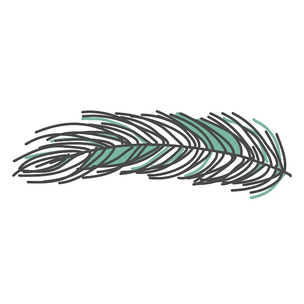 Vector hand drawn pine branch, spruce