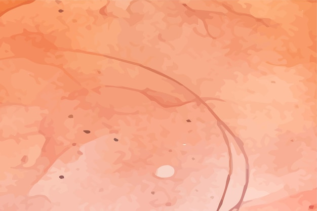 Vector hand painted watercolor abstract background