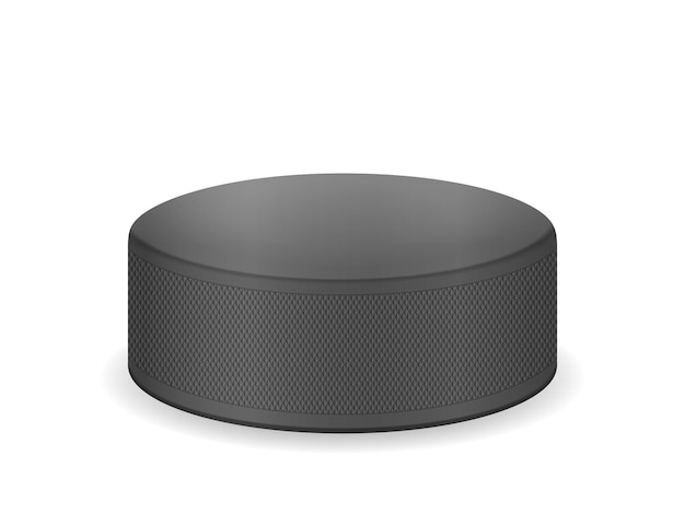 Vector hockey puck