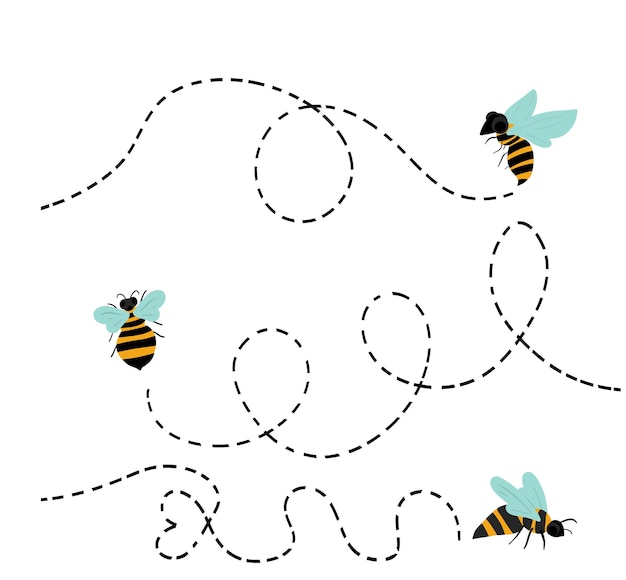 Vector honey bee flying with a dotted path. vector illustration