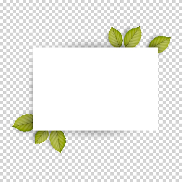 Vector horizontal blank white sheet paper and green fresh spring leaves