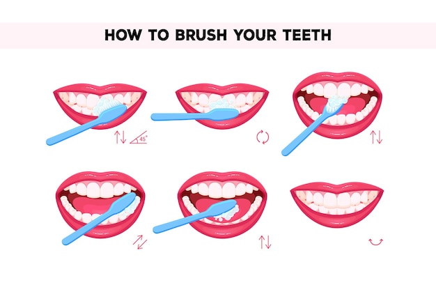 Vector how to brush your teeth instruction infographics.