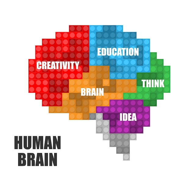 Vector human brain constractor kit