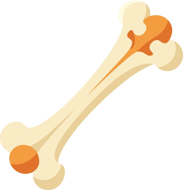 humane bone image vectors color pitcher