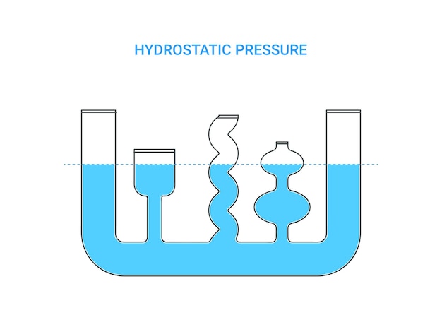 Vector hydrostatic pressure in containers of different shapes and heights