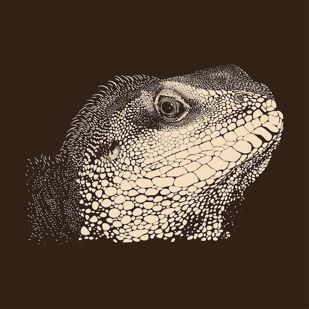 Vector iguana sketch illustration drawing vector animal