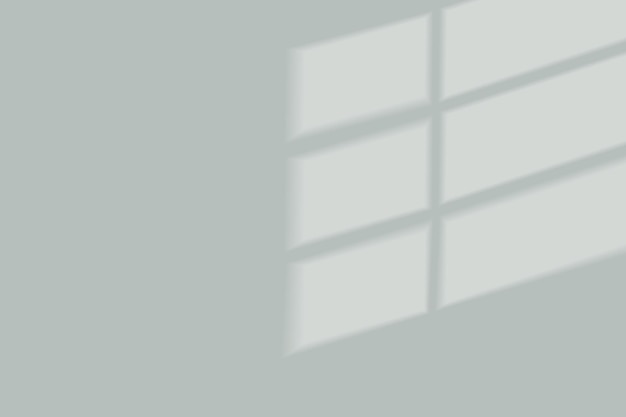 Vector interior template with sunlight on a green wall vector mockup of classic interior