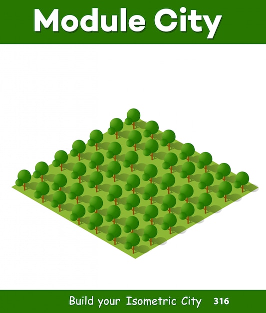 Vector isometric 3d park with a green