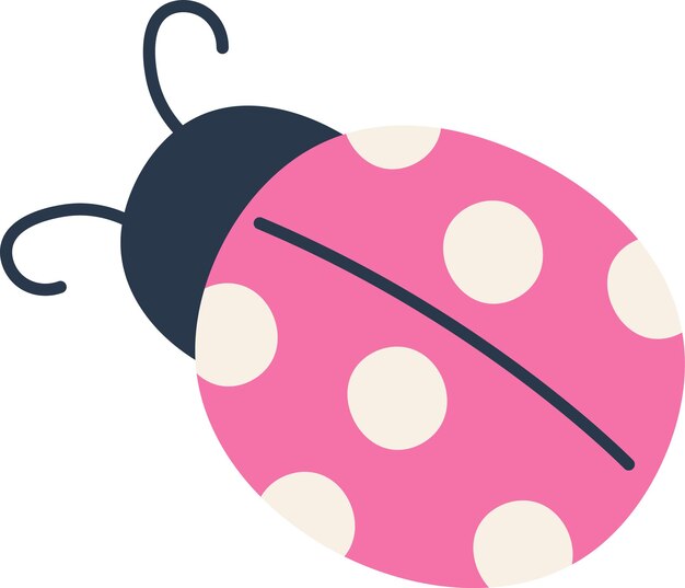 Vector lady bug insect