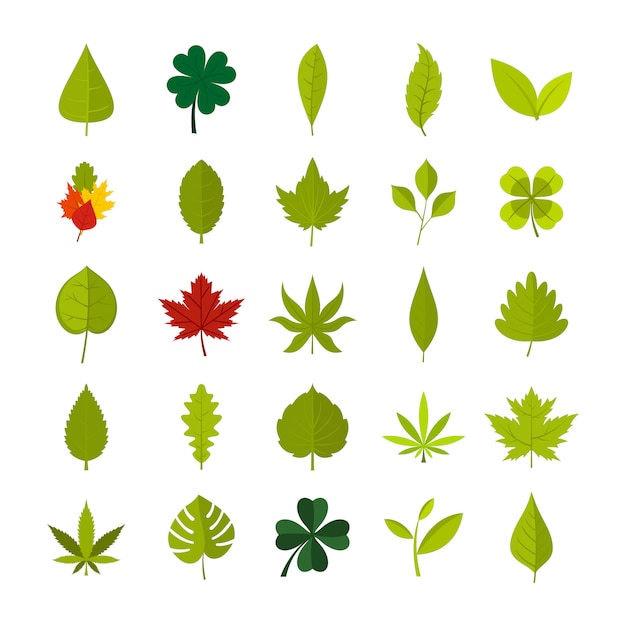 Vector leaf icon set. flat set of leaf vector icons collection isolated