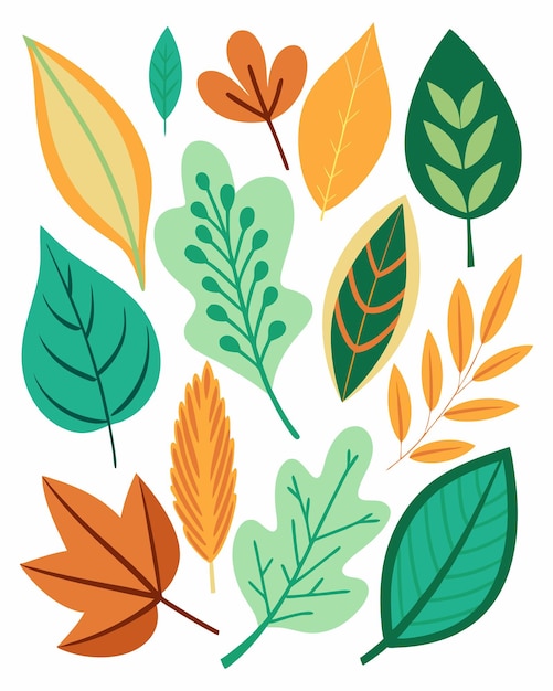 Vector leafs cute white background