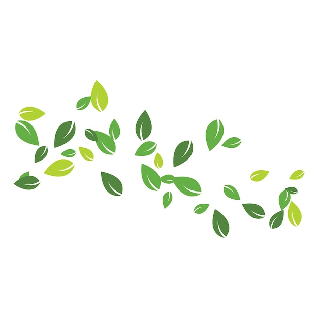 Vector leaves fall background