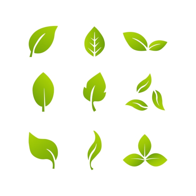 Vector leaves icon vector set isolated on white background different forms of green leaves of trees
