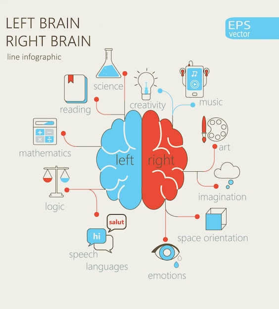 Vector left and right brain concept.