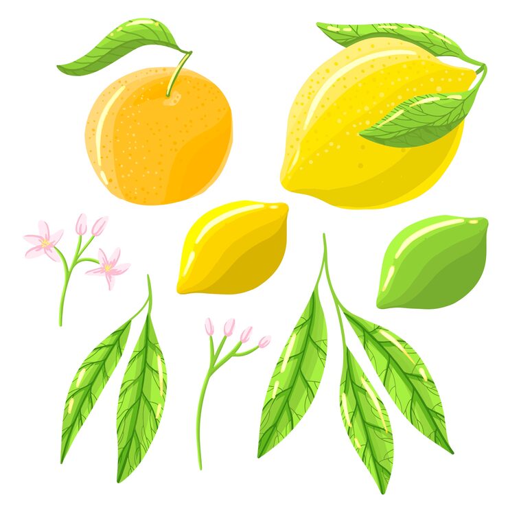 lemon items