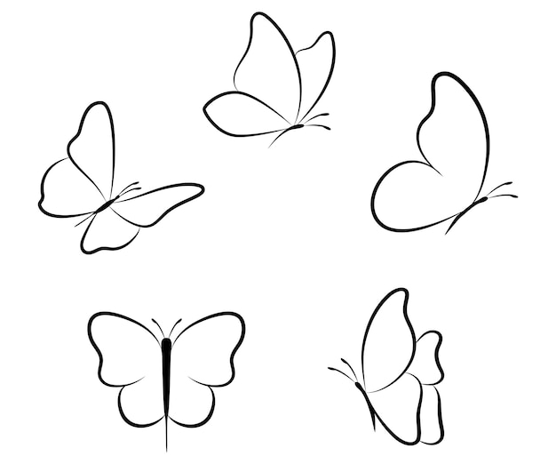 Vector linear butterfly outline collection hand drawn illustration isolated on white