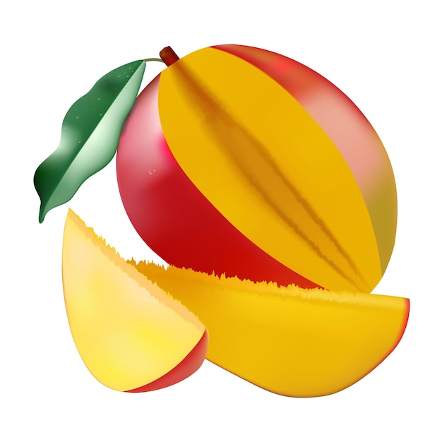Vector mango whole and pieces fresh fruit 3d vector icons set realistic illustration