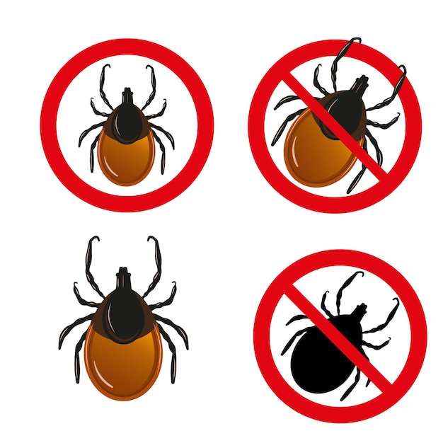 Vector mite set. vector set of insect parasites ticks. encephalitis tick warning signs
