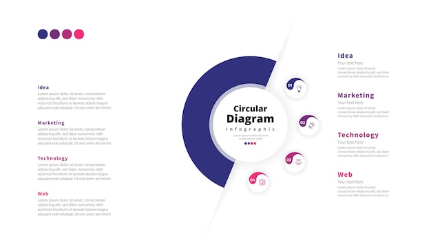 Vector modern minimalist elegant clean circular steps editable infographic design template vector