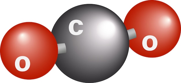 Vector molecule of carbon dioxide