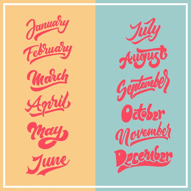 Vector months of the year hand drawn lettering typography 