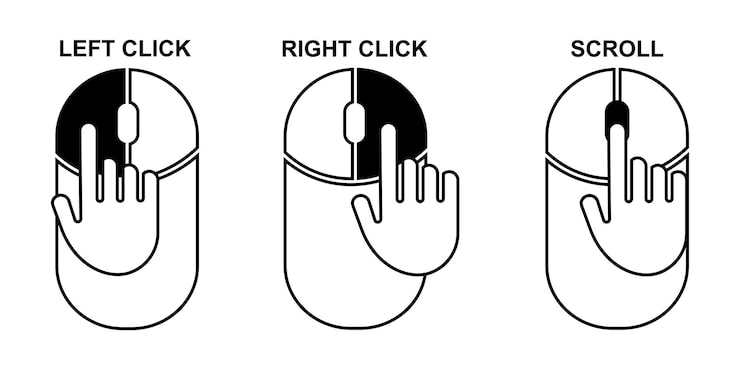 Mouse click on left, right and scroll wheel button. Instruction using for mouse.
