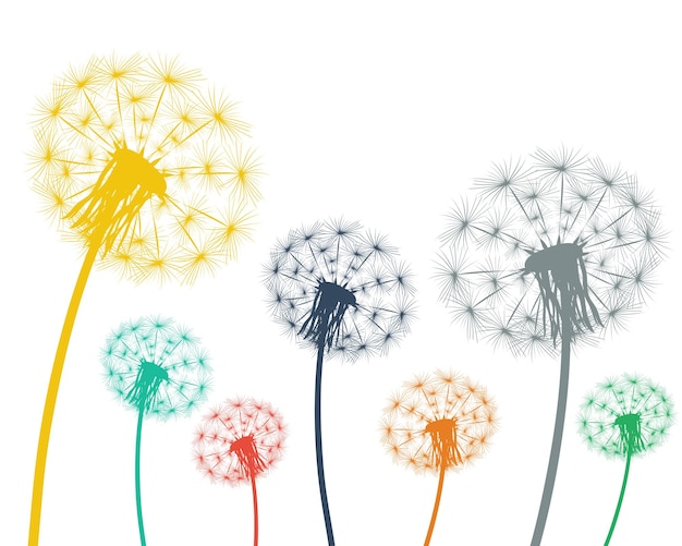 Vector multicolored dandelions on a white background