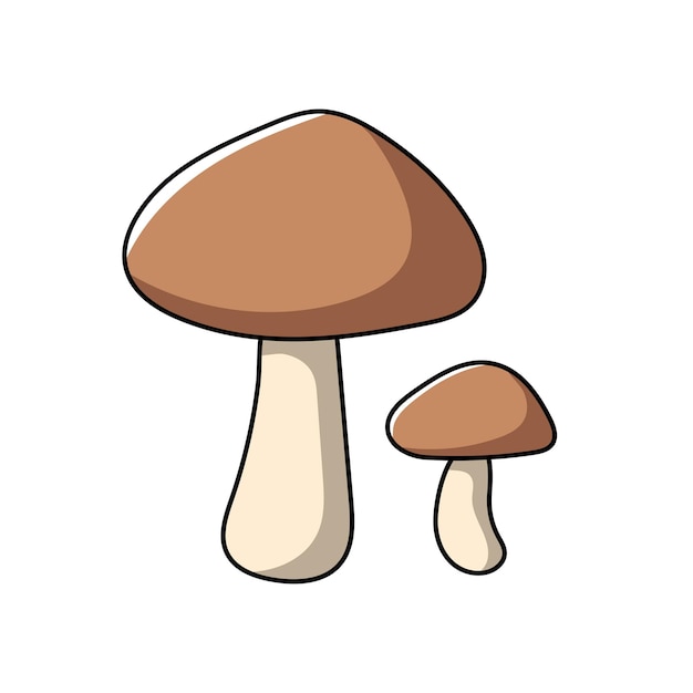 Vector mushroom illustration vector vegetables white background