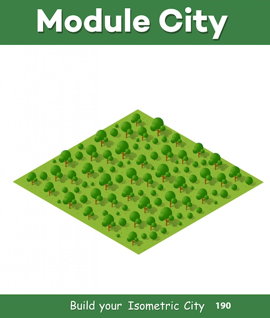 Vector natural landscape isometric