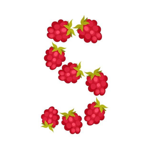 Vector number arrranged from raspberry isolated on white background vector illustration