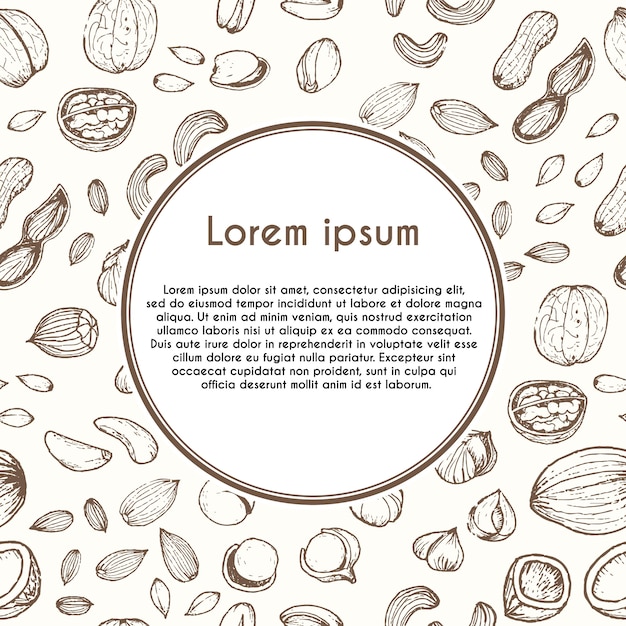 Vector nuts vector concept in hand drawn