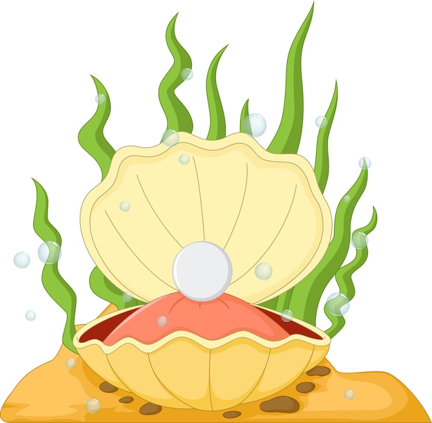 Vector oyster with a pearl