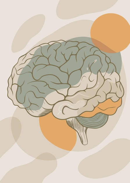 Vector a painting of a brain on a wall james jean