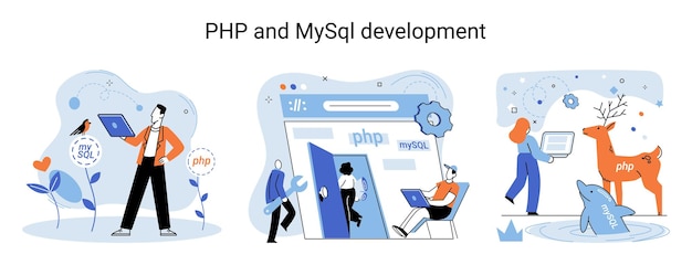 Vector php and mysql development software website developer programmer service programming language