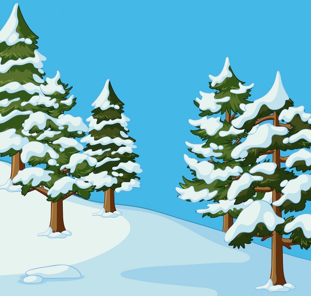 Vector pine trees covered with snow