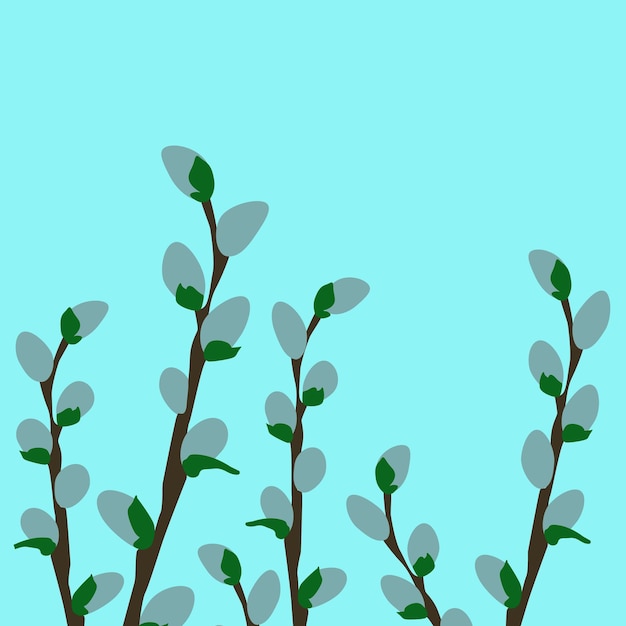 Vector postcard with the willow branches.