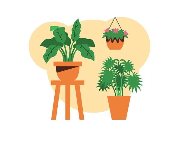 potted indoor house plants