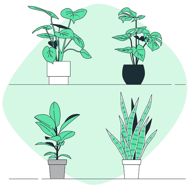 Vector potted plant concept illustration