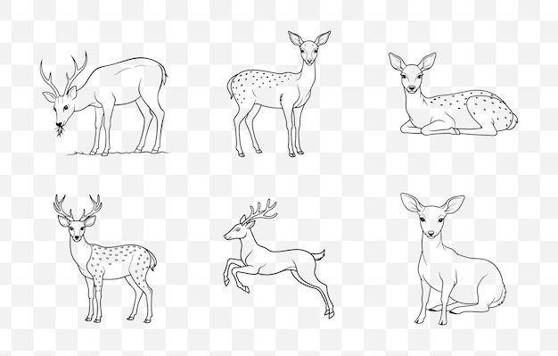 print elegant deer line art vector set for creative designs and illustrations