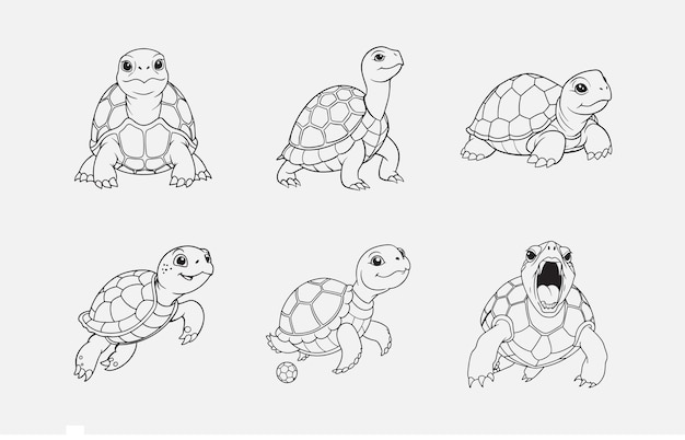 print exquisite turtle line art vector set intricate and elegant designs for creative projects