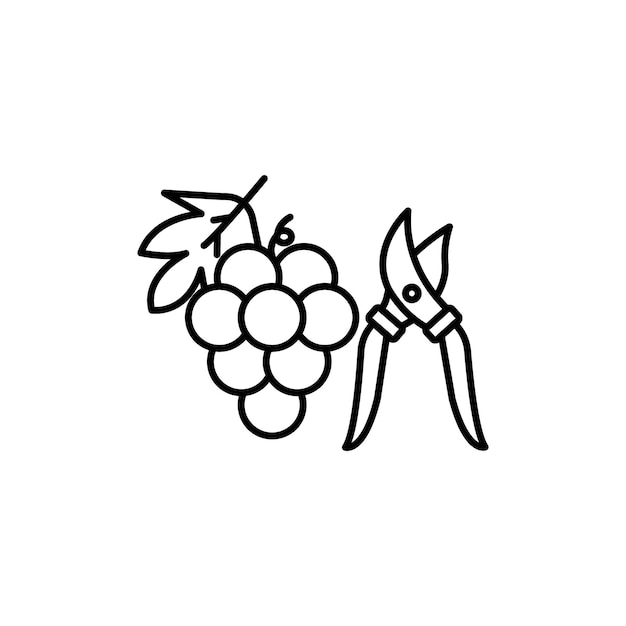 Vector pruning grape icon