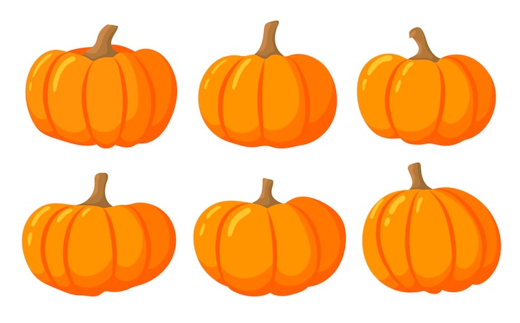 Vector pumpkin cartoon set. halloween holiday. thanksgiving, farm harvest, squash closeup, vegetable.