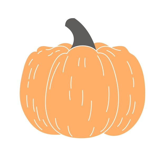 Vector pumpkin vegetable decorated